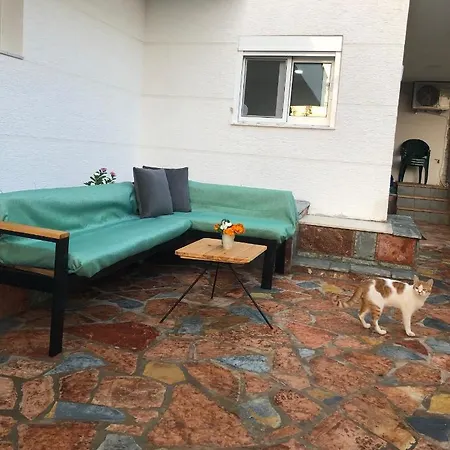 Seana Apartment